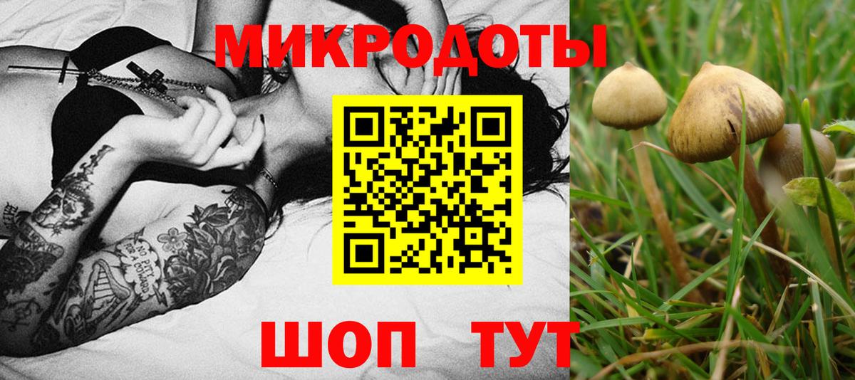 Галлюциногенные грибы Psilocybine cubensis  Вход с VPN  Белореченск 