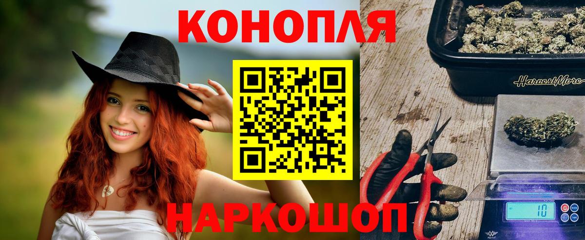 Белореченск  Бошки Шишки тримм  Бошки Шишки ГИДРОПОН  Вход с VPN  Бошки Шишки планчик 